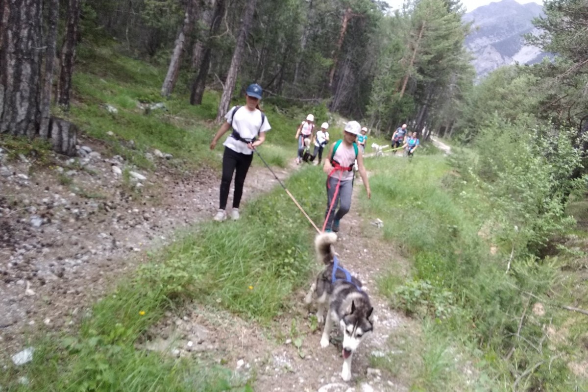 66532303 905671106435438 9018555083847106560 n