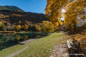 lac roche rame banc automne