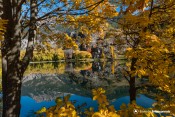 lac roche rame reflet automne a travers arbres