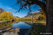 lac roche rame vue ecrins arbre