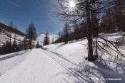 retour par les bois fonts cervieres ski de fond