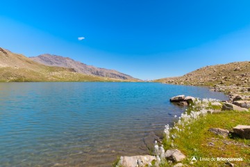 Lac de Palluel