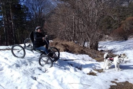 La Tribu Rando - Chien de traineau Quabike Névache