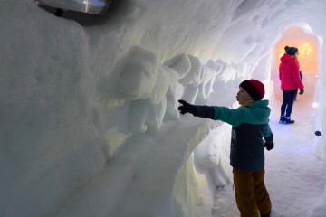 Igloo Pelvoo Hiver 2023 2024