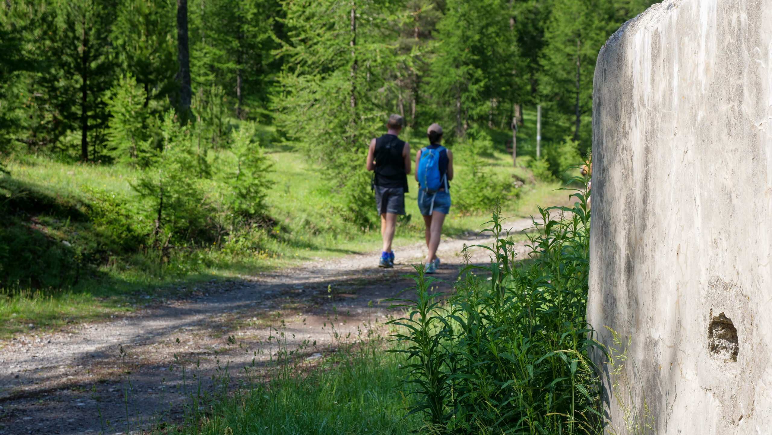 "Faites" de la Randonnée Montgenèvre 2026